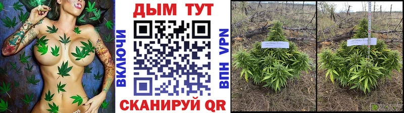 Наркота Киреевск мега   ГАШ  Кокаин 