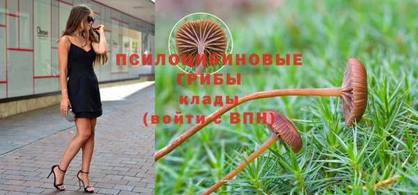 наркотики Алексеевка