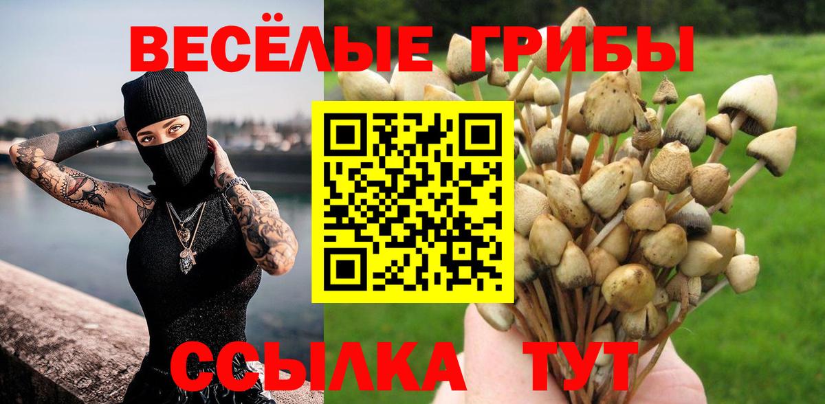 Галлюциногенные грибы ЛСД Киреевск
