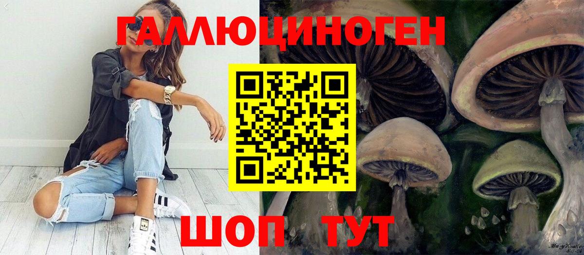 Киреевск  Галлюциногенные грибы Psilocybe  Вход с VPN  Галлюциногенные грибы прущие грибы 