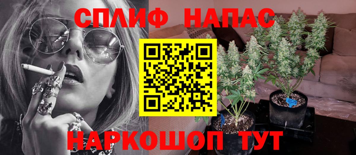 Бошки Шишки SATIVA & INDICA  Каннабис THC 21%  Вход с VPN  Бошки Шишки Ganja  Киреевск  Конопля план 